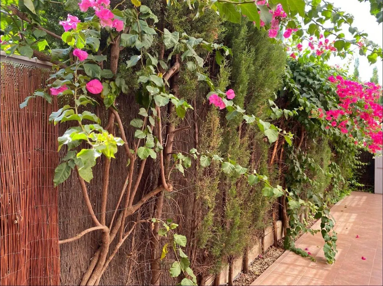 Apartamento Arruzafa Home Córdoba